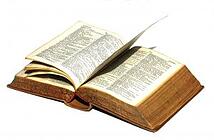 website development dictionary