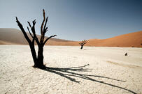 inhospitable websites = no lead generation
