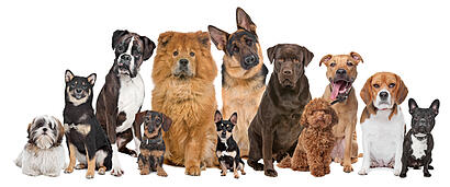 Lead generation Savannah GA