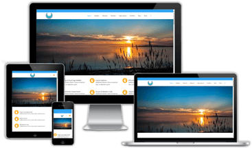 Website Design